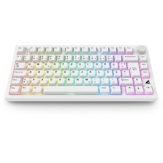 Teclado Sharkoon SKILLER SGK55W mecánico gaming blanco RGB inalámbrico y cable