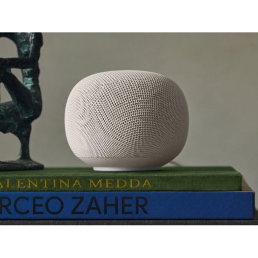 Enceintes Google Home Ovales Wi-Fi 6 Bluetooth 5.4 avec Micro Intégré