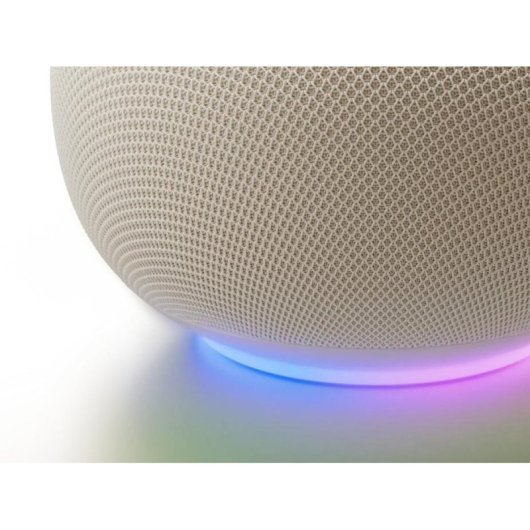 Enceintes Google Home Ovales Wi-Fi 6 Bluetooth 5.4 avec Micro Intégré