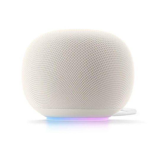 Enceintes Google Home Ovales Wi-Fi 6 Bluetooth 5.4 avec Micro Intégré