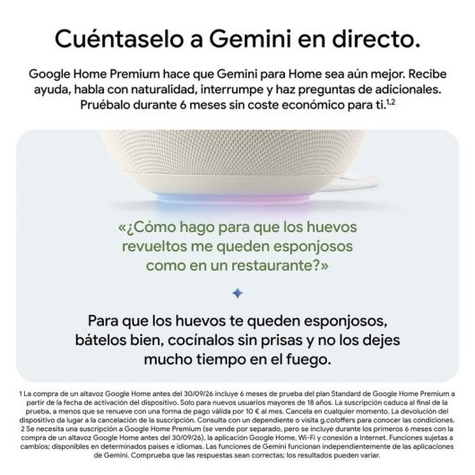 Enceintes Google Home Ovales Wi-Fi 6 Bluetooth 5.4 avec Micro Intégré