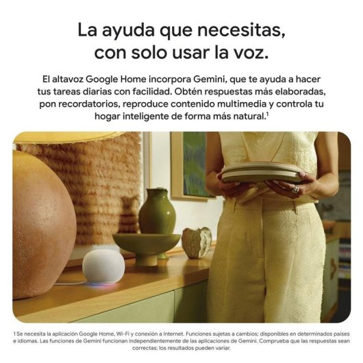 Enceintes Google Home Ovales Wi-Fi 6 Bluetooth 5.4 avec Micro Intégré
