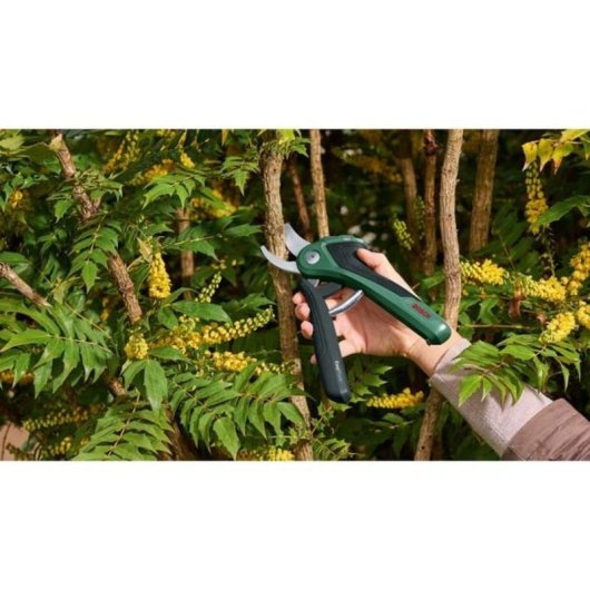 Bosch EasyPrune Classic 3,6V kabellose Heckenschere Power Assist