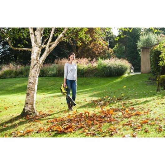 Soplador de hojas Ryobi ONE+ 18V Batería Ion Litio 160 km/h