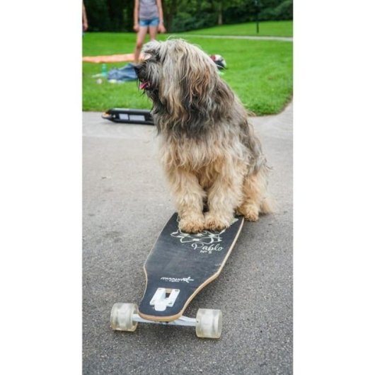 Longboard Muuwmi Glow ABEC 7 Pablo