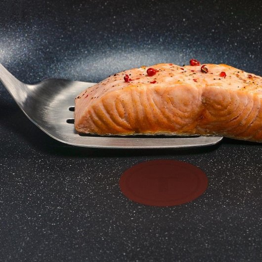 Poêle Tefal Expertise+ 28 cm Thermo-Spot Antiadhérente Titane Aluminium