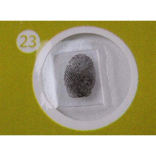 Ensemble de Préparations Levenhuk LabZZ P12 pour Microscope