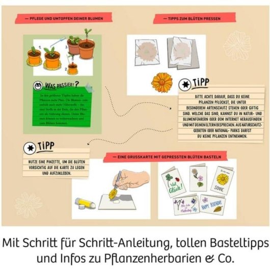 Kit di esperimenti KOSMOS Pressa fiori Biologia bambini