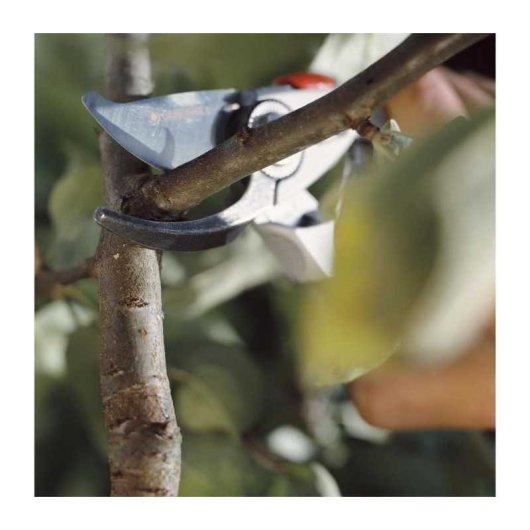 Gardena Bp 50 Premium 8702-20 Tijeras De Podar De Bypass Con Hoja De Acero Inoxidable 24 Mm, Cuerpo De Aluminio, Empuñaduras Ergonómicas Antideslizantes Y Bloqueo Deslizante Manual