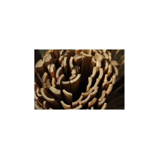 Pantalla De Cañizo Partido Nature 1 X 3 M Natural Para Jardín, Terraza Y Balcón