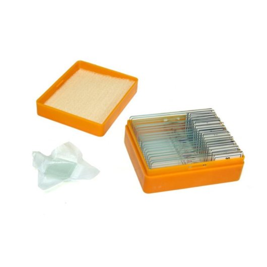 Ensemble de préparations Levenhuk N20 NG 20 échantillons biologiques