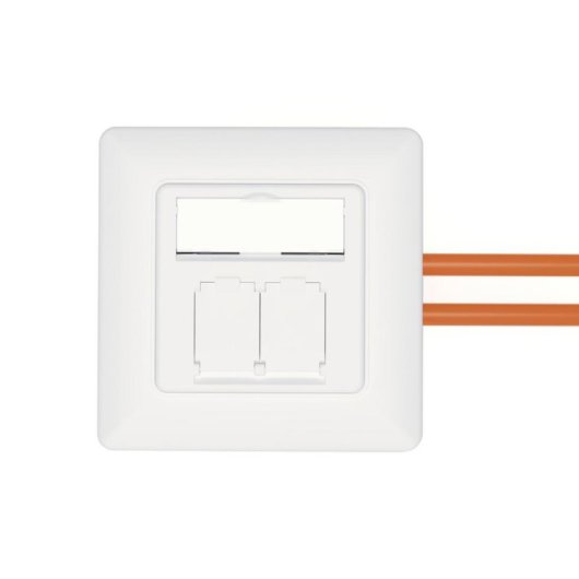 Toma de conexión de datos Digitus DN-9010/8-2 CAT 6A 2xRJ45