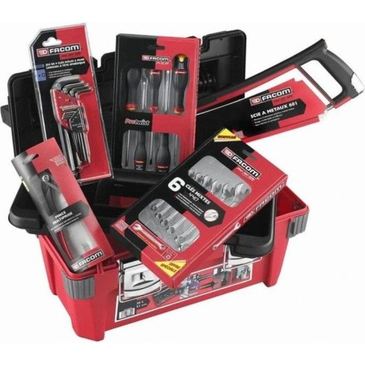 Koffer FACOM BP.P20ACM1PB mit 22 Protwist-Handwerkzeugen