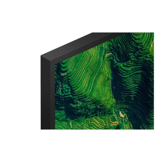 Monitor Sony BZ35P 65" UltraHD 4K 100Hz IPS HDR10 WiFi Android