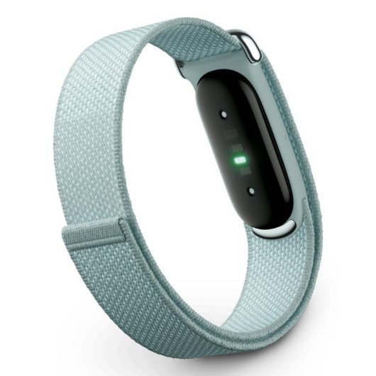 Aktivitätsarmband Google Fitbit Air Bluetooth Grün 7 Tage Herzfrequenzmonitor