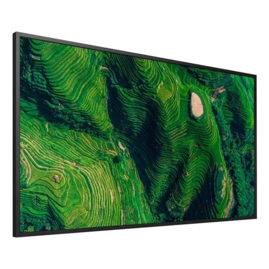 Monitor PC Sony BZ35P 55" UltraHD 4K 100Hz IPS HDR Android WiFi Segnaletica