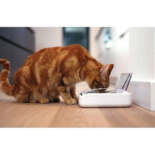 Comedero Automático SureFlap SureFeed 400 ml Blanco