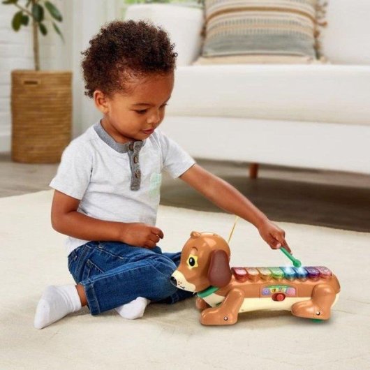 Xilófono perruno arrastrable VTech Baby Elton con 8 teclas luminosas y 3 modos