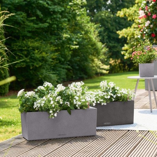 Blumenkasten Lechuza Balconera Stone 80 Beige mit 5L Wassertank