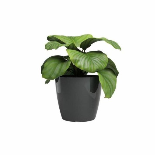 Maceta Artevasi San Remo 36 BR Antracita Brillante 25 L