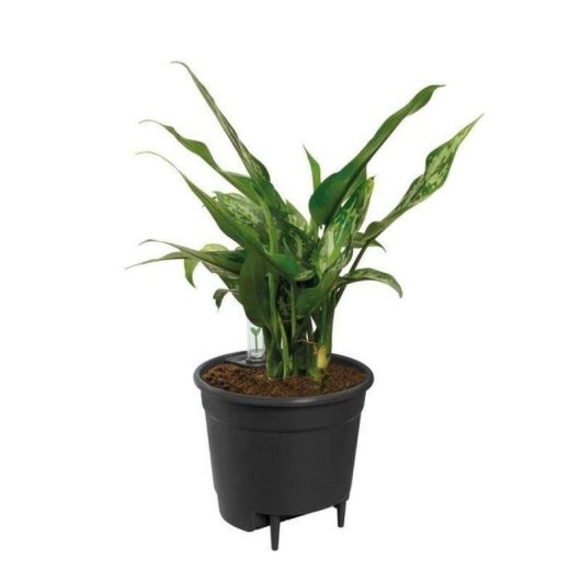 Insert auto-arrosage Elho Self-watering Insert 21 Living Noir 21 cm 4 L