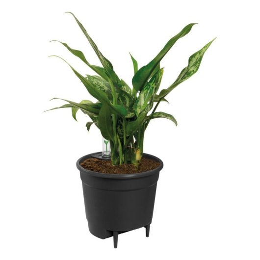 Insert auto-arrosage Elho Self-watering Insert 21 Living Noir 21 cm 4 L