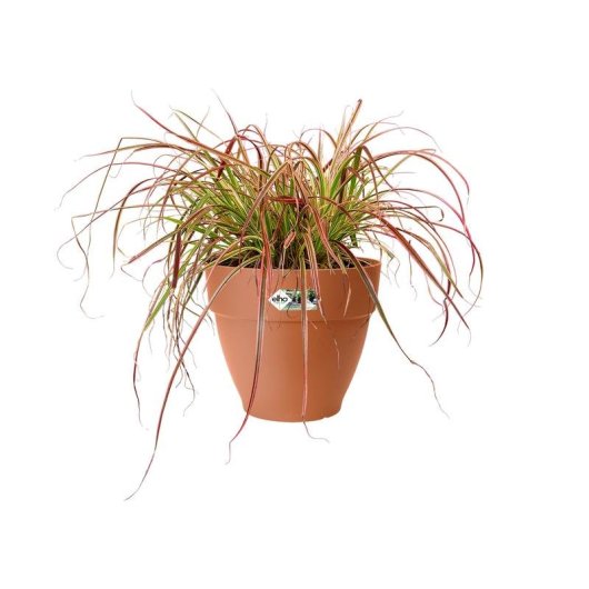 Maceta Elho Vibia Campana Round 55 Exterior Marrón Ø55 x 47 cm 74 L