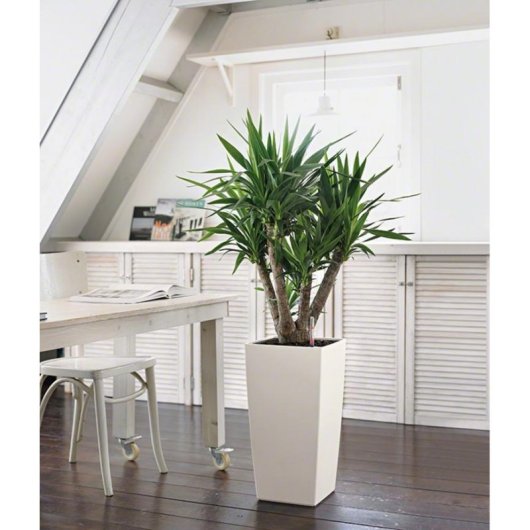 Maceta LECHUZA Cubico Color 30 All-in-One Autorriego 14 L Interior/Exterior