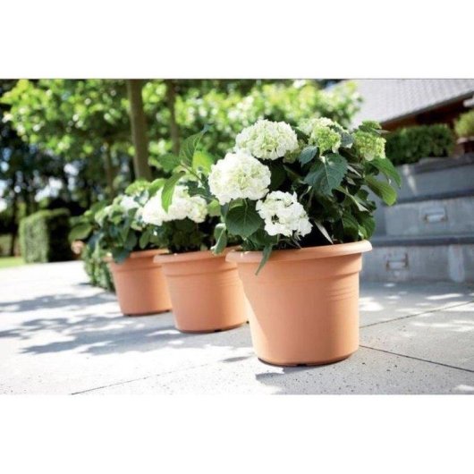 Maceta Elho Green Basics 45 cm Mild Terra Plastique Recyclé Drainage Empilable