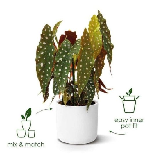Macetero Elho B.for Soft Rond Blanc Ø35 H32 27L