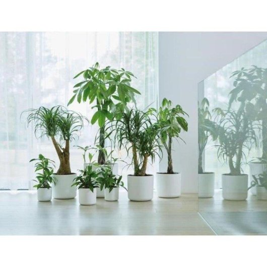 Macetero Elho B.for Soft Rond Blanc Ø35 H32 27L