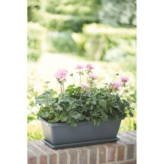 Vaso da fiori Elho Barcelona Balconnière 40 Rettangolare Antracite Plastica Riciclata