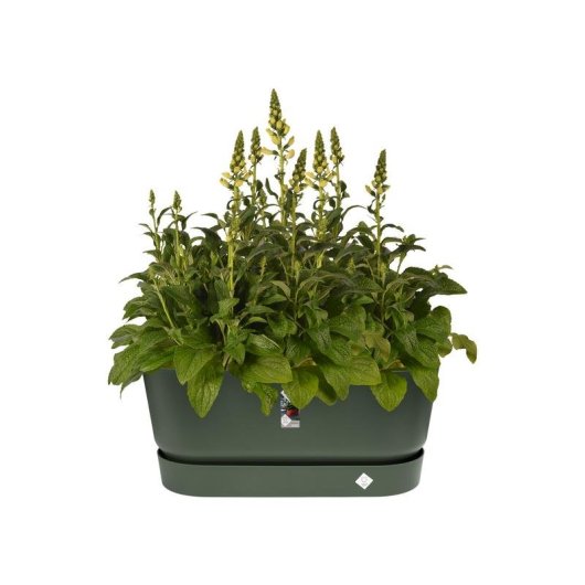 Macetero Elho Greenville Terrase 80 Oval avec Roues 42 L - Plastique Recyclé