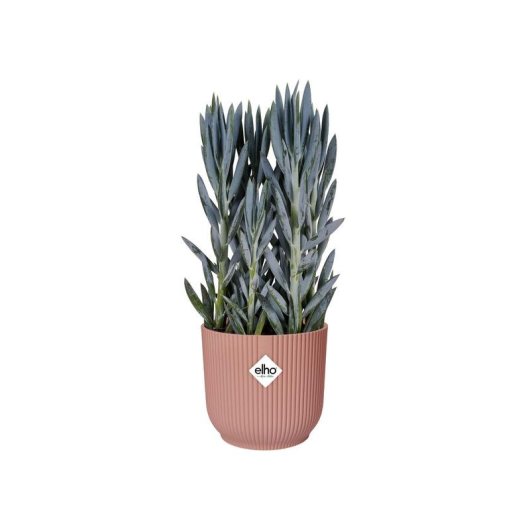 Jardinière ELHO Vibes Fold Round Avec Roulettes Rose Saumon 35x32 cm Plastique 100% Recyclé