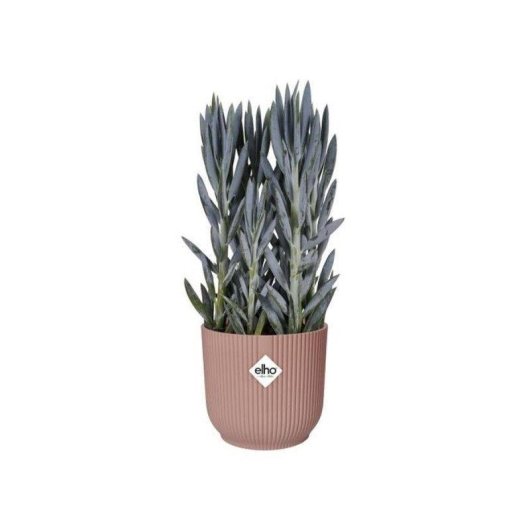 Jardinière ELHO Vibes Fold Round Avec Roulettes Rose Saumon 35x32 cm Plastique 100% Recyclé