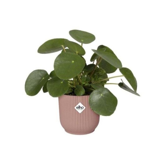 Jardinière ELHO Vibes Fold Round Avec Roulettes Rose Saumon 35x32 cm Plastique 100% Recyclé