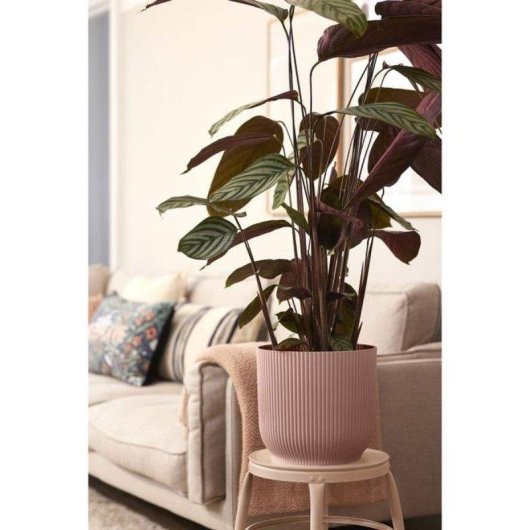 Jardinière ELHO Vibes Fold Round Avec Roulettes Rose Saumon 35x32 cm Plastique 100% Recyclé