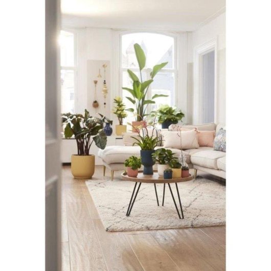 Jardinière ELHO Vibes Fold Round Avec Roulettes Rose Saumon 35x32 cm Plastique 100% Recyclé