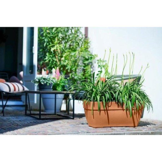 Bac à fleurs rectangulaire extérieur ELHO Vibia Campana marron 77x35x33 cm 63 L