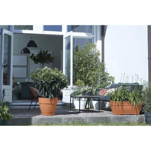 Bac à fleurs rectangulaire extérieur ELHO Vibia Campana marron 77x35x33 cm 63 L