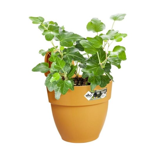 Jardinera Elho Vibia Campana Easy Hanger Petite 2,8 L Jaune Mat
