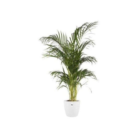 Jardinière Elho Brussels Round 25 cm Blanche PP 8,7 L Acabado Mate Anti-UV