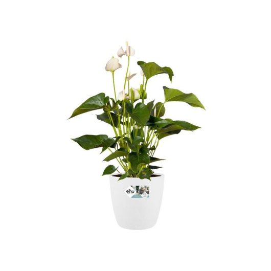 Jardinière Elho Brussels Round 25 cm Blanche PP 8,7 L Acabado Mate Anti-UV