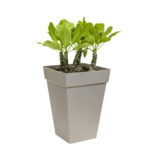 Jardinière carrée haute Elho Loft Urban 30 cm blanc 19L