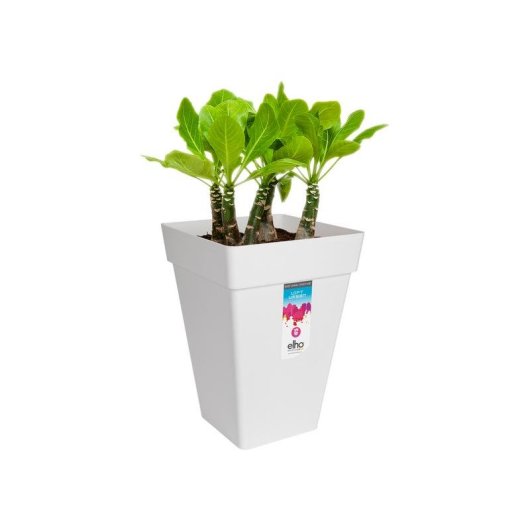 Jardinière carrée haute Elho Loft Urban 30 cm blanc 19L