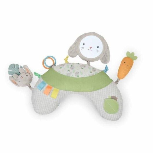Ingenuity Sylvi Baby Bauchlage-Spielmatte mit U-Kissen und 4 Sensorischen Spielzeugen