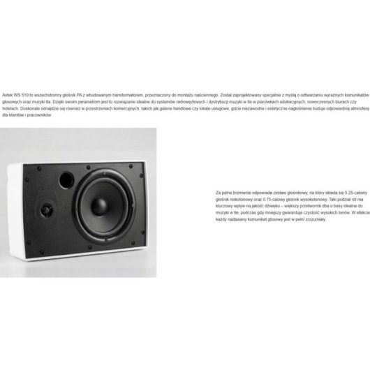 Altoparlanti Avtek PC 10W con montaggio a parete e alimentazione elettrica