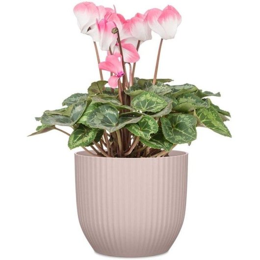 Maceta Redonda Deroma 231 Rosa Pálido Plástico Ligero 10 L Ø27 cm