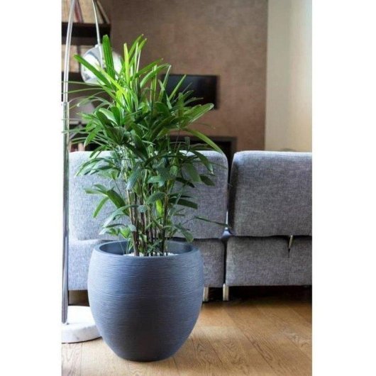 Pot rond EDA Graphit Ø50 cm 46 L Gris Anthracite Mate