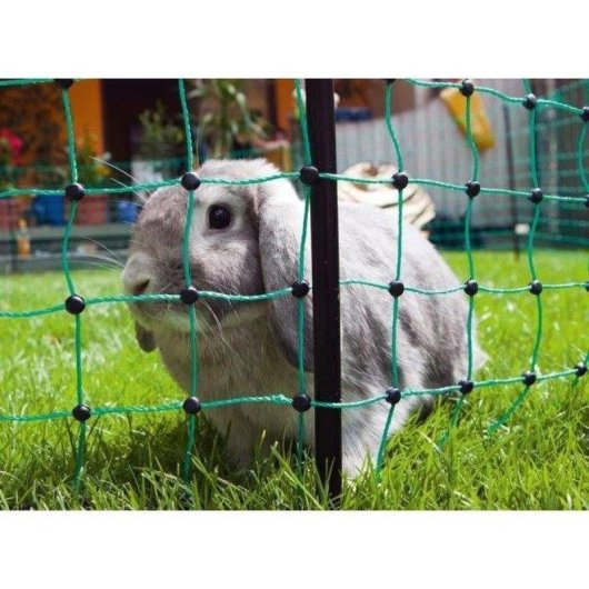 Filet Kerbl RabbitNet 25 m x 65 cm Vert pour Lapins et Animaux